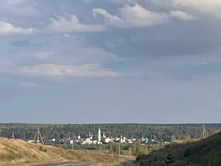 Вид на Оптину пустынь с холма: монастырь за лесом у реки